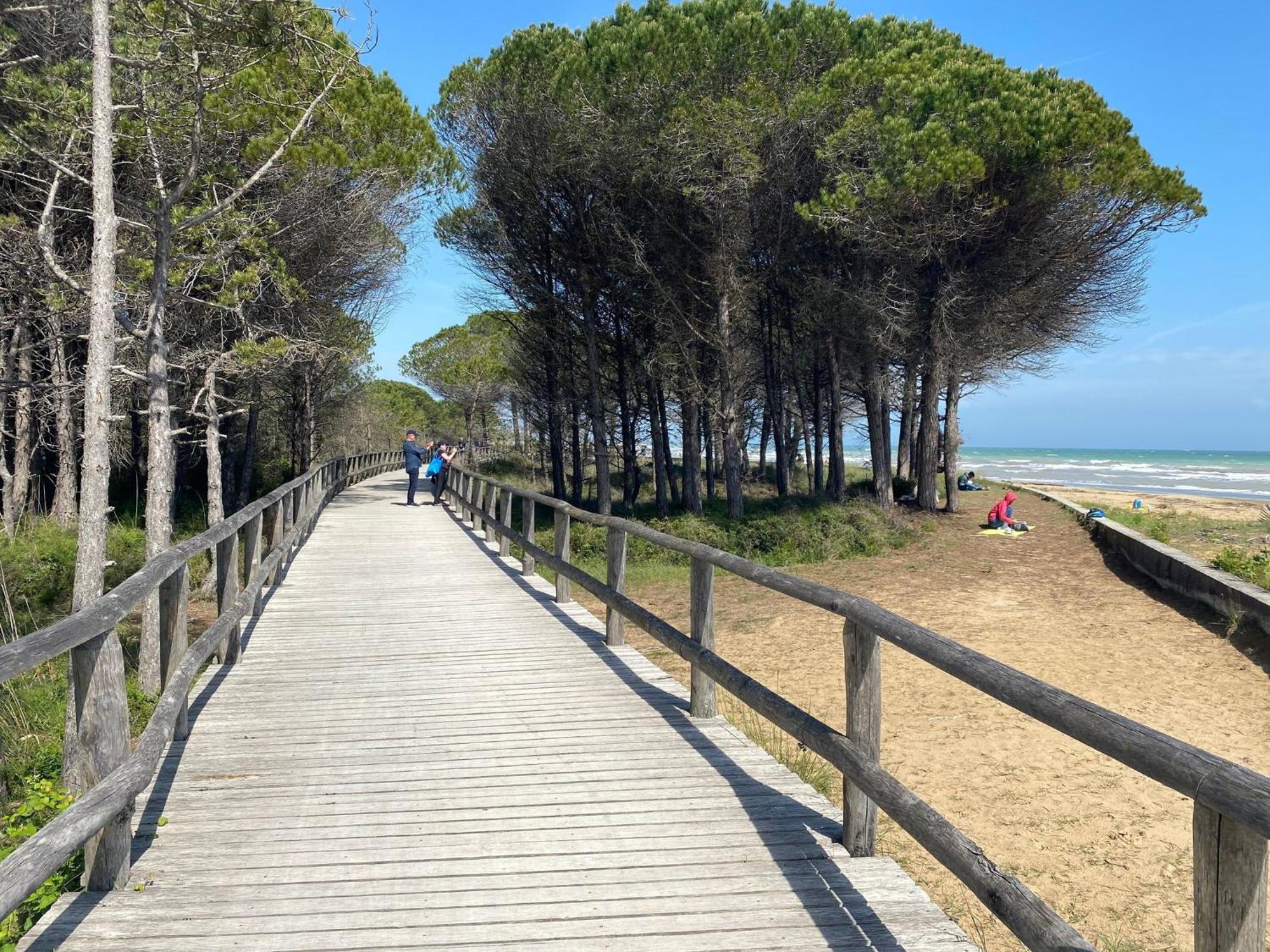 Three-room Flat With Private Garden Next To The Sea * Bibione